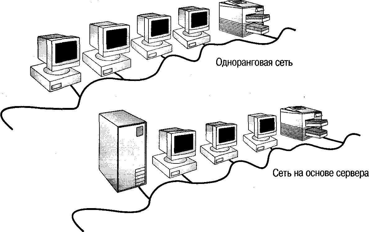 Какой вид называется одноранговой