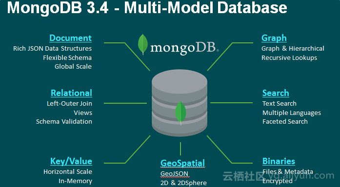 Field mongodb. MONGODB структура. MONGODB схема. СУБД MONGODB. Схема базы данных MONGODB.