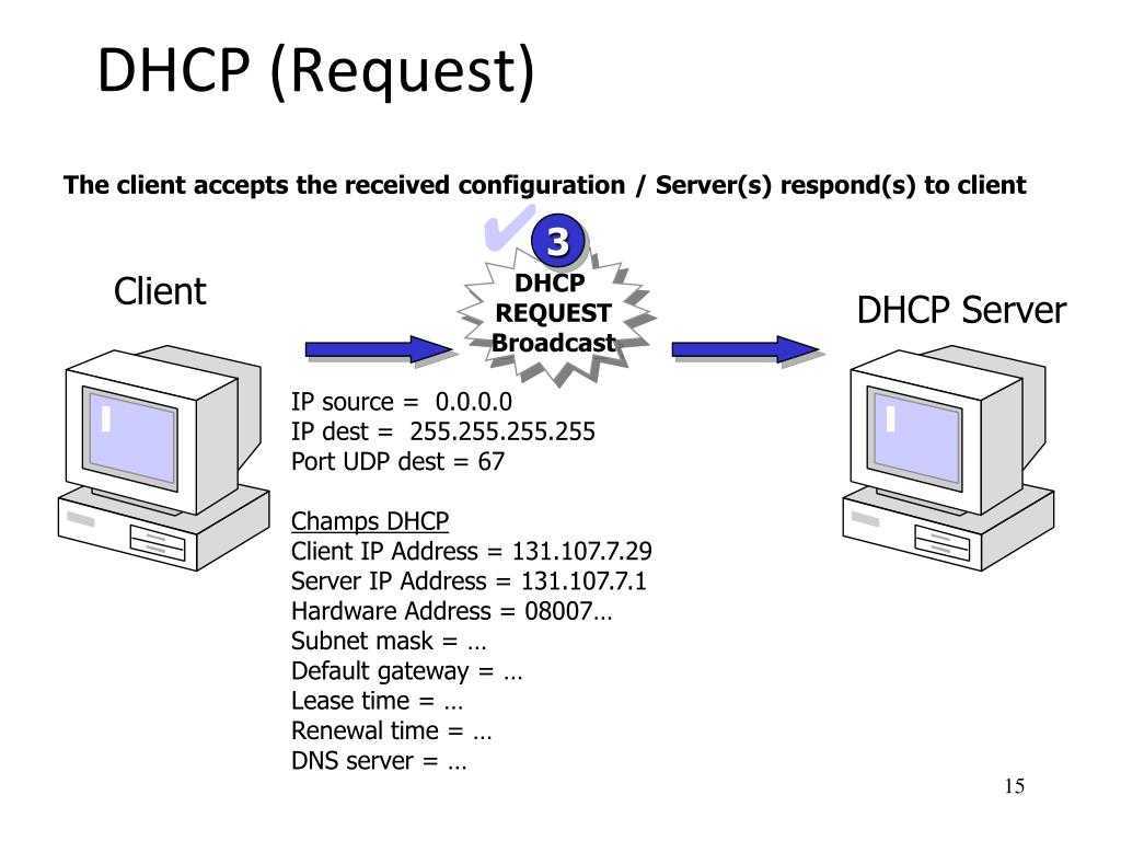 Протокол dhcp - принцип работы | xelent