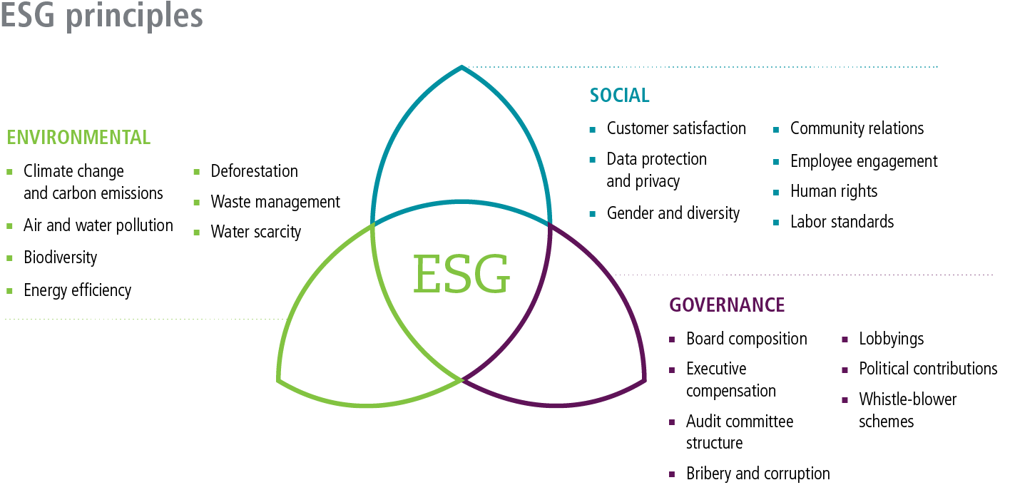 Esg политик. ESG принципы устойчивого развития. ESG принципы. ESG стратегия. ESG повестка.