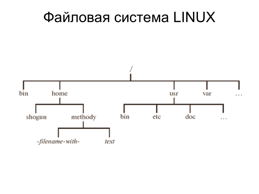 Файловая структура linux