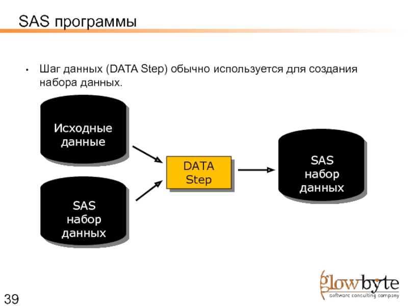 SAS язык программирования. Набор данных. Шаг data в SAS. Шаги данных.