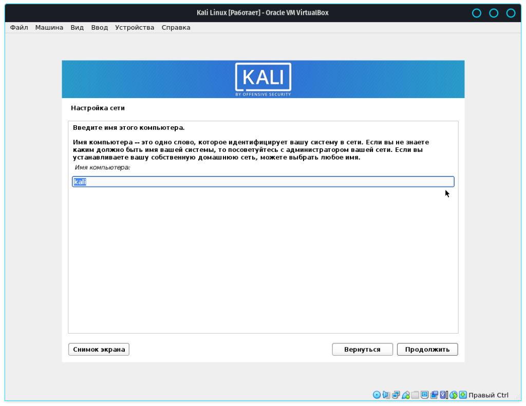 Kali linux настройка. Установка Кали линукс. Кали линукс на флешку. Kali Linux установленный как установить на флешку. Настройка сети kali Linux.