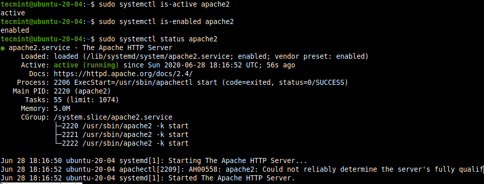 Как установить linux, apache, mysql, php (lamp) в ubuntu 16.04  | digitalocean