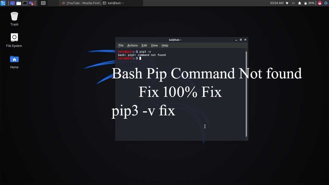 Troubleshooting "bash: command not found" error in linux