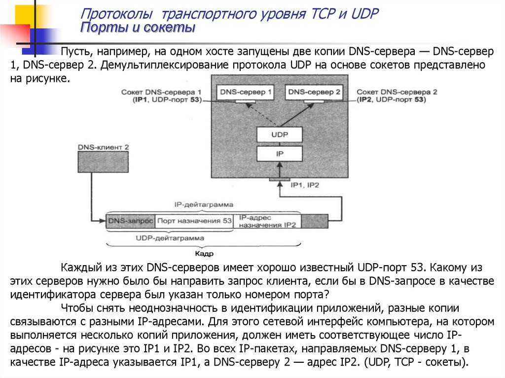 Dns какой порт. Протоколы сетевого уровня стека TCP/IP. Порты в протоколах транспортного уровня TCP И udp. Сервер, клиент и протокол DNS. Структура стека протоколов TCP/IP.
