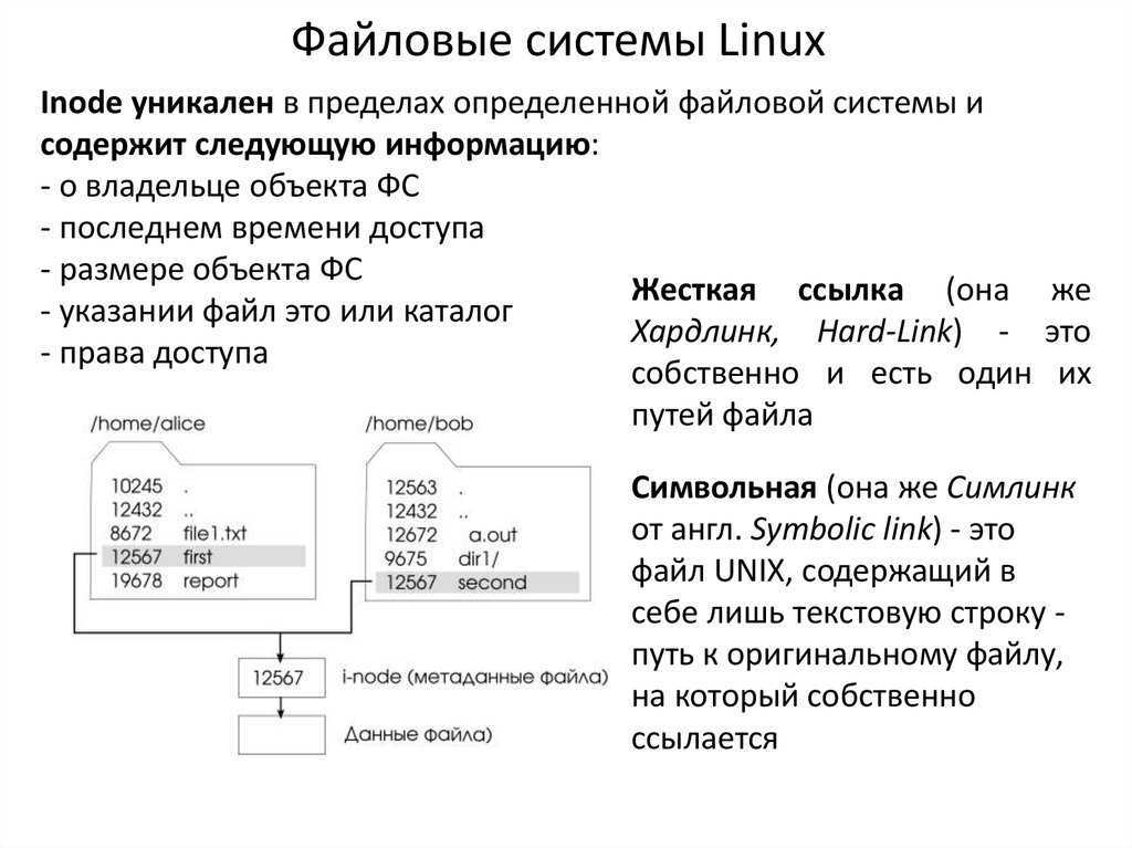 Linux операционная система файл. Файловая система Linux структура каталогов файловой системы. Структура файловой системы ОС Linux. Иерархия каталогов и файловых систем в Linux. Фай=ловая система Linux.