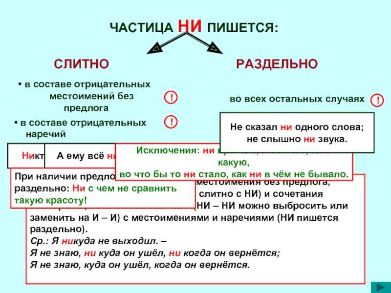 Ни одной картины как пишется