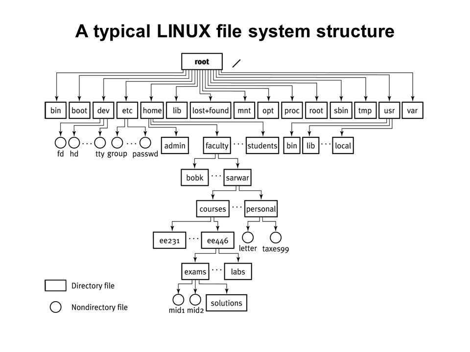 C file structure. Структура файловой системы линукс. Структура файловой системы ОС Linux. Файловая структура линукс. Файловая система Linux и Windows.